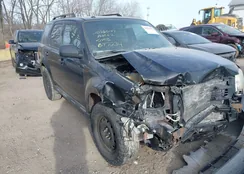 1FMCU0DG4BKB97234: 44228553