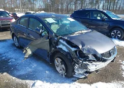 19XFB2F55FE271753: 44229601