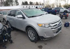 2FMDK4KC4BBA08951: 44229813