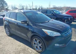 1FMCU9J90FUC32887: 44229028