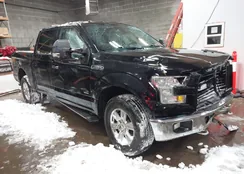 1FTEW1EG7GFB66930: 44229094