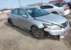 1N4AL3AP8JC266431: 44229160