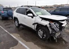 JTMN1RFV1LD530713: 44230819