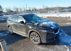 JM3KFADMXK1631126: 44230851