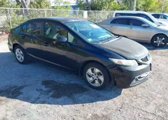 2HGFB2F53DH565381: 44230011