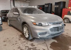 1G1ZE5ST1HF177848: 44230153