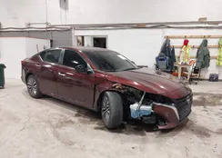 1N4BL4DV3PN304567: 44231419