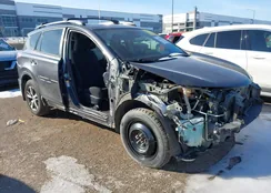 JTMWFREV2JJ746351: 44231517