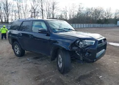 JTEBU5JR0G5323366: 44231532