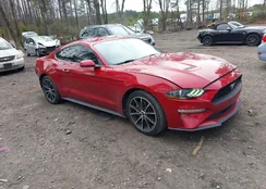 1FA6P8TH2L5123804: 44231597