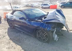 1FATP8UH7J5145425: 44231626