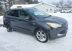 1FMCU9J98FUA88893: 44231903