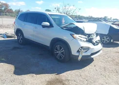 5FNYF5H5XJB001044: 44232846