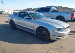 1ZVBP8AM2E5237195: 44232307