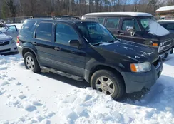 1FMCU93184KB23772: 44233353