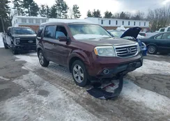 5FNYF3H56DB041534: 44233852