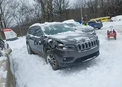 1C4PJMLB8KD424781: 44233893