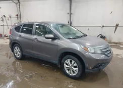 5J6RM4H54CL028609: 44234529