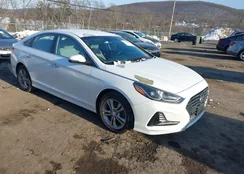 5NPE34AF2JH627374: 44234803