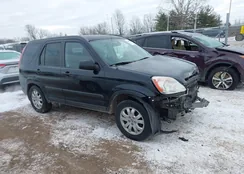 SHSRD78856U405997: 44234885