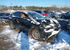 JTJDARDZ6L5010354: 44234116