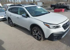 4S4BTAPCXN3239384: 44234204