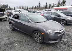 2HGFC2F74GH502776: 44236803