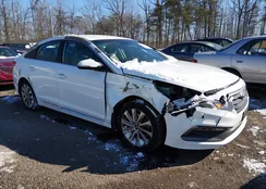 5NPE34AF9HH478309: 44236805