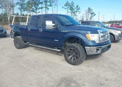 1FTFW1ETXDFB42196: 44237648