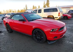 1ZVBP8EM3C5201815: 44237681