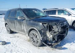 1FM5K8D83HGD97250: 44237025