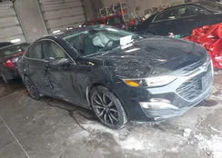 1G1ZG5STXNF210559: 44237103