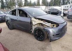 7SAYGDED7PF968631: 44238423