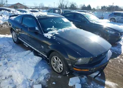 1ZVHT80N995141487: 44238641