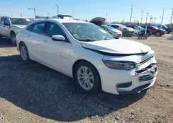 1G1ZJ5SU4HF181686: 44238097