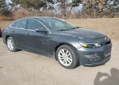 1G1ZD5ST6JF237339: 44239439