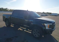 1FTEW1CP5KFD50243: 44239756