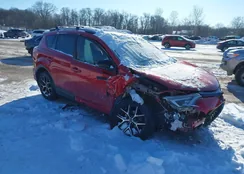 JTMJFREV0HJ137750: 44239096