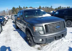 1FTFW1EF2BFC23717: 44240398