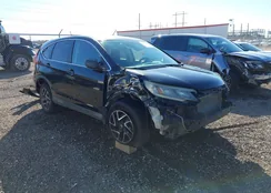 2HKRM3H46GH528031: 44240461