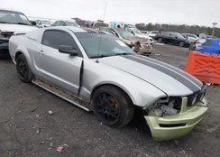 1ZVFT80N575290564: 44239949