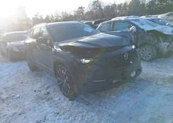 7MMVABEM6PN115936: 44240138