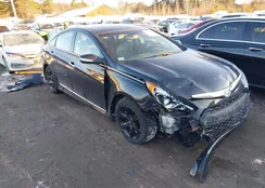 KMHEC4A48EA109759: 44241512