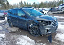 1FMCU9HDXJUC43298: 44241667