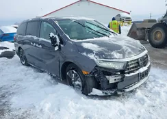 5FNRL6H92MB011917: 44240920