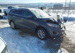 5XYPGDA39GG134813: 44241117