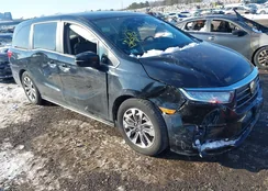 5FNRL6H77MB004699: 44242342