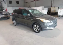 1FMCU0GX3FUB12146: 44242411