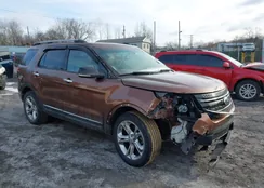 1FMHK8D88BGA74574: 44242552