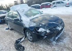 1HGCM56475A193436: 44242072